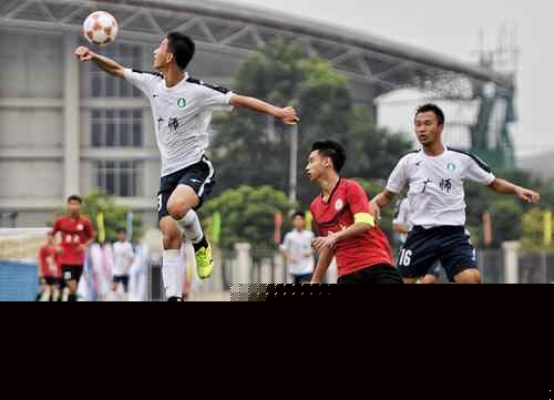 球队新援首秀 引发关注热议（球队新援处子秀登场 引发广泛热议）